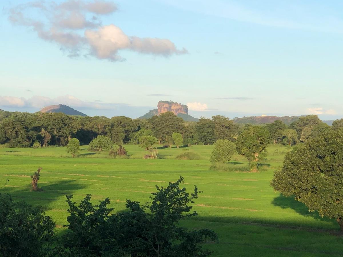 Atteriya Sigiriya Hotel Bagian luar foto
