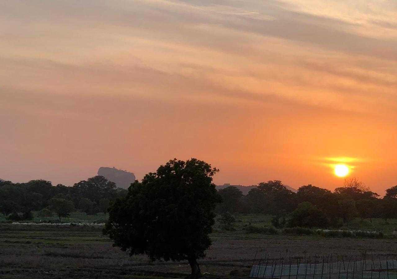 Atteriya Sigiriya Hotel Bagian luar foto